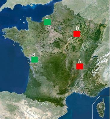 Exposure of waterfowl to Clostridium botulinum in France